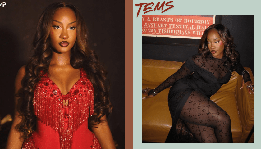 Tems Biography