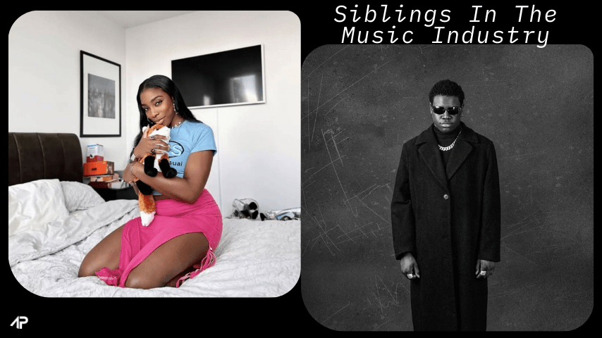 Nigerian Music Industry